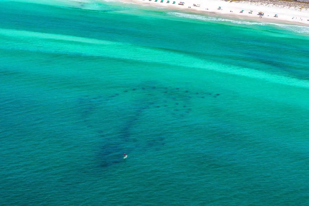 Lejlighed Vitamin Sea Destin USA